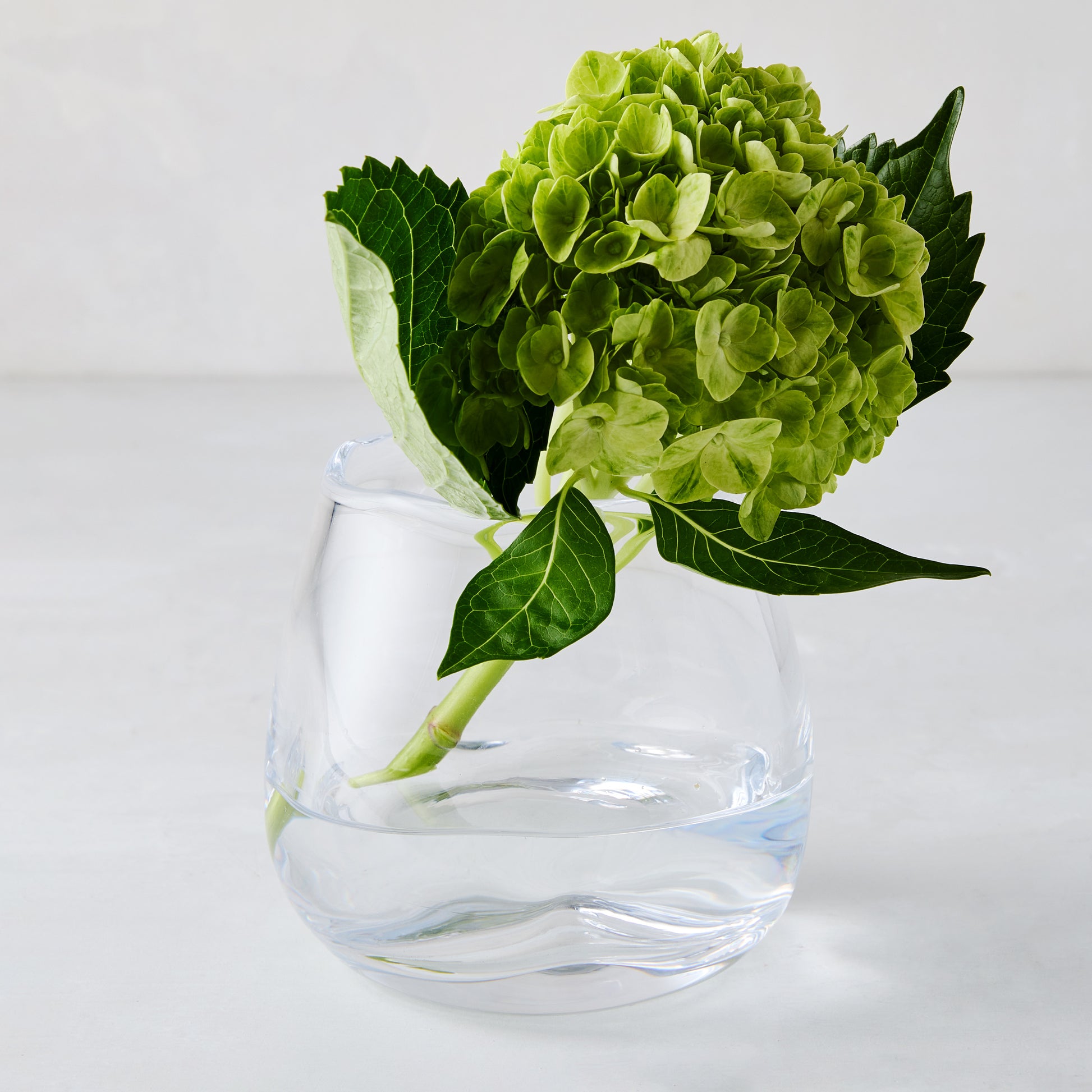 Small Mia Scissor-Cut Round Vase, clear mouth-blown glass with a green hydrangea.
