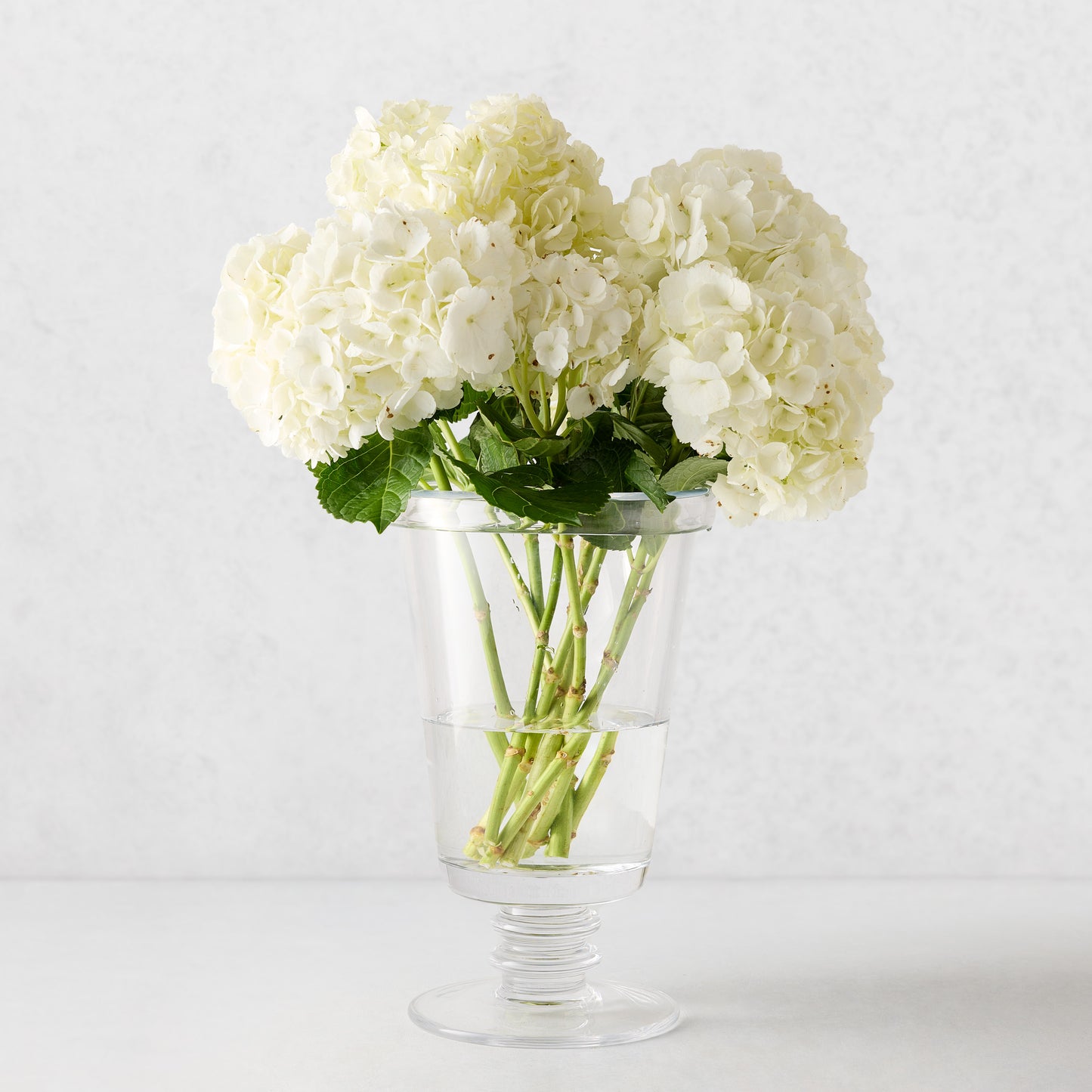 Small Oxford Glass Vase with a hand-molded rim, holding white hydrangeas.