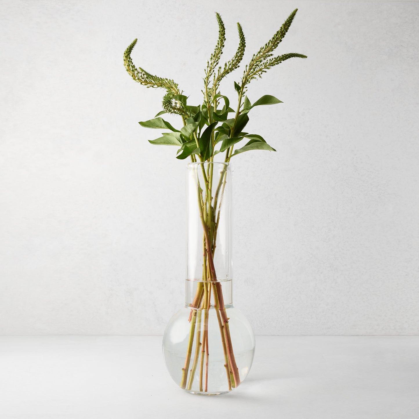 Sofia Glass Vase, 17.5"H, clear mouth-blown glass, traditional shape, with green stems.