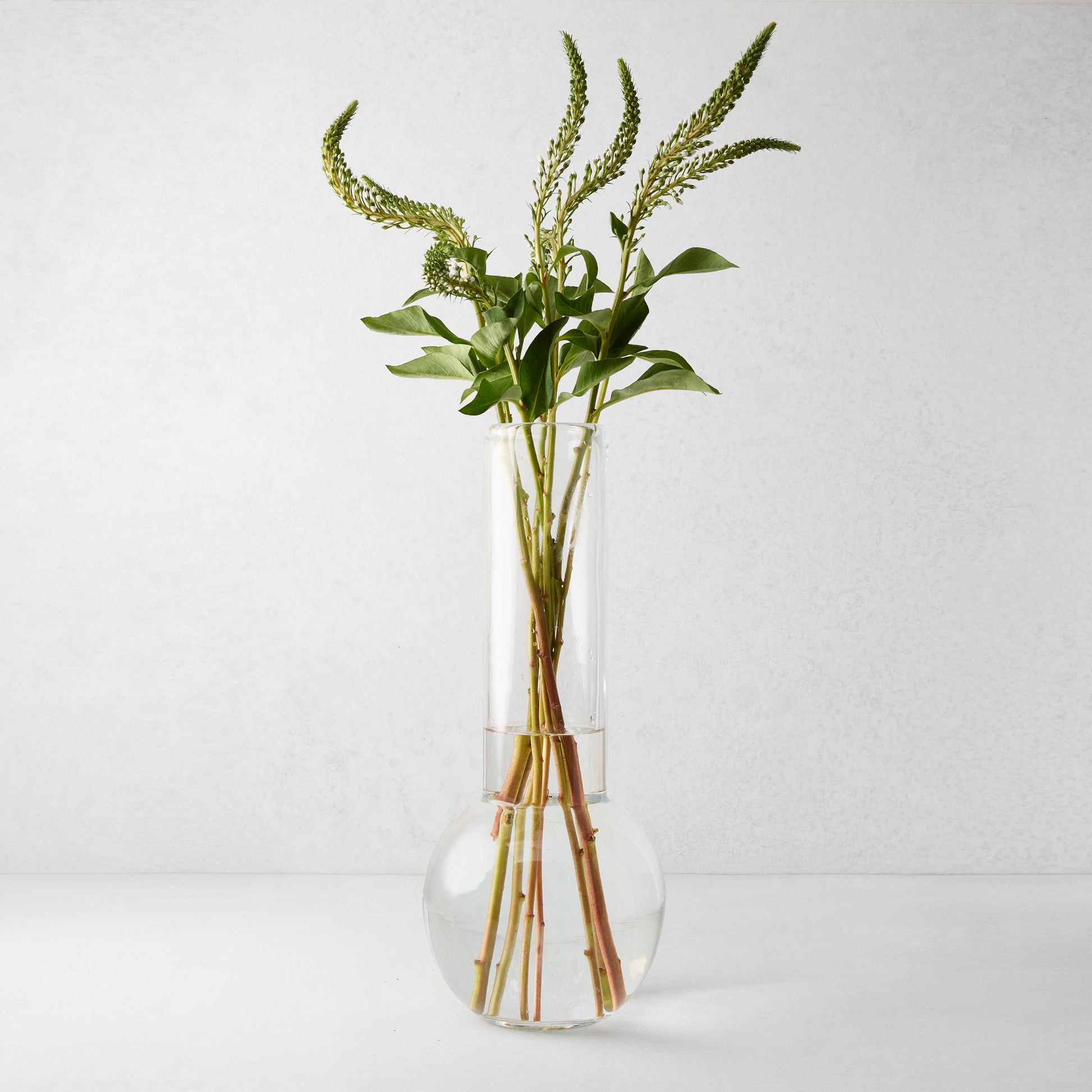 Sofia Glass Vase, 17.5"H, clear mouth-blown glass, traditional shape, with green stems.