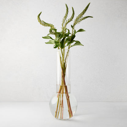 Sofia Glass Vase, 17.5"H, clear mouth-blown glass, traditional shape, with green stems.