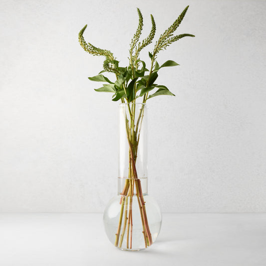 Sofia Glass Vase, 17.5"H, clear mouth-blown glass, traditional shape, with green stems.
