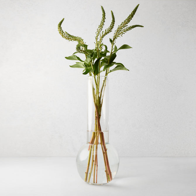 Sofia Glass Vase, 17.5"H, clear mouth-blown glass, traditional shape, with green stems.