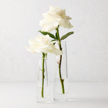 Two clear Solifleur large glass bud vases, one 8.27"H, holding white roses against a light background.