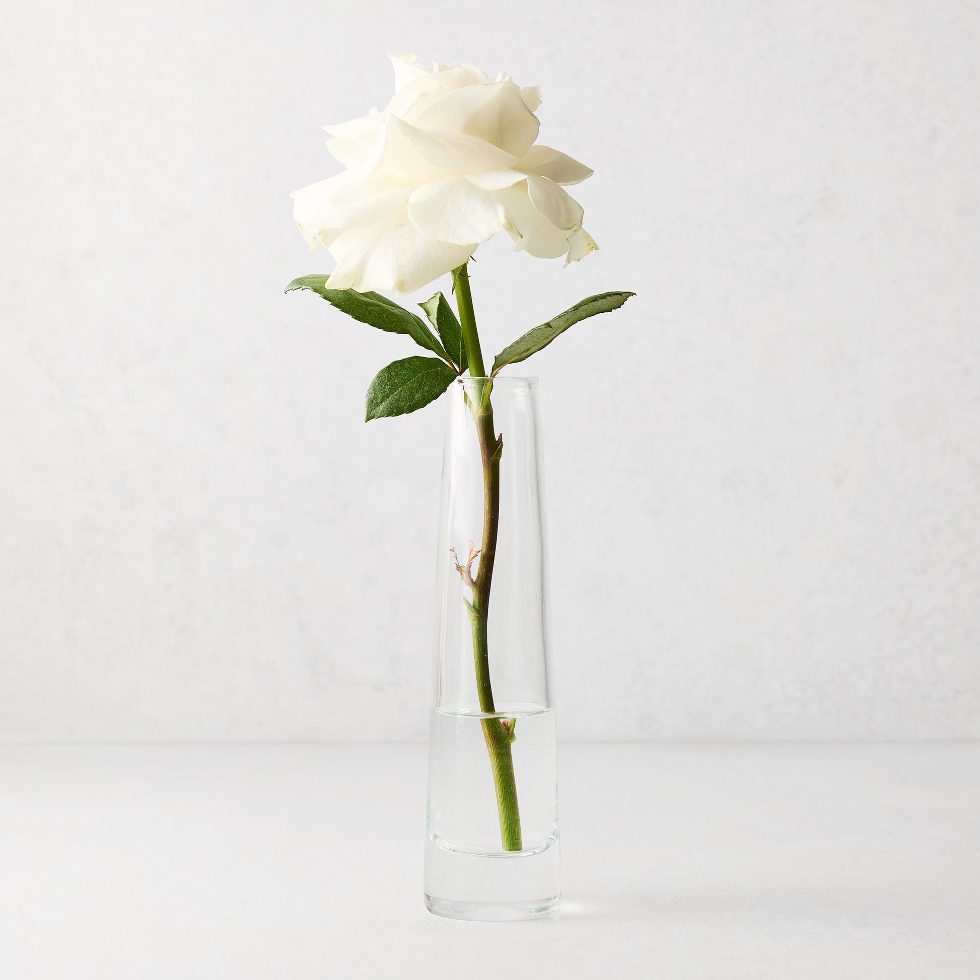 Solifleur Large clear mouth-blown glass bud vase with a single white rose.