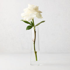 Solifleur Large clear mouth-blown glass bud vase with a single white rose.