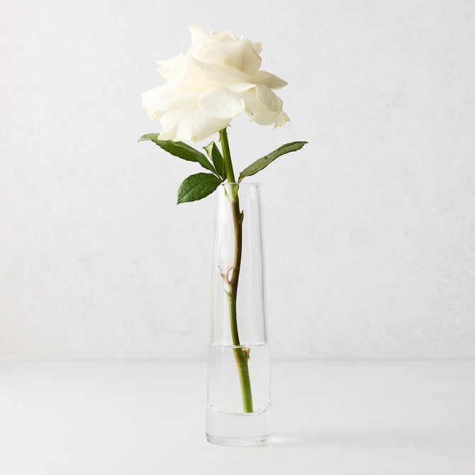 Solifleur Large clear mouth-blown glass bud vase with a single white rose.