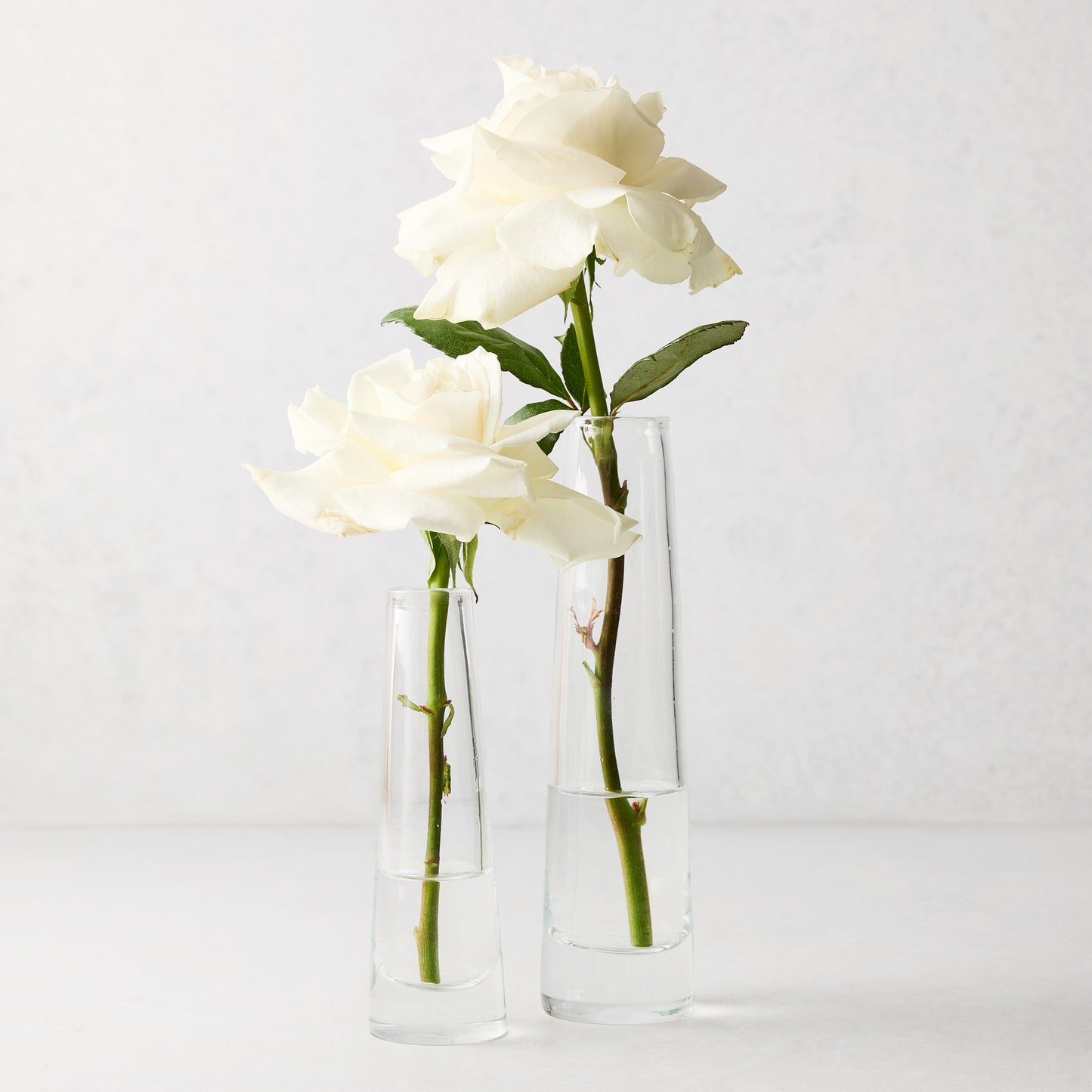 Two clear Solifleur Small Glass Bud Vases, one 5.91"H, holding single white roses against a white background.