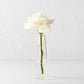 Solifleur small clear mouth-blown glass bud vase with a single white rose.