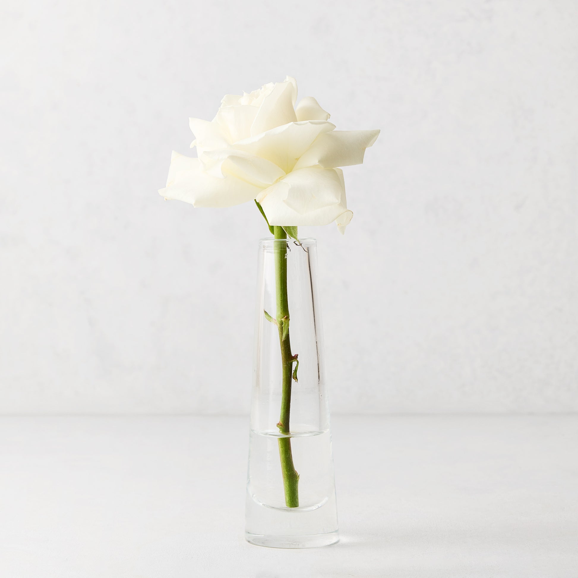 Solifleur small clear mouth-blown glass bud vase with a single white rose.