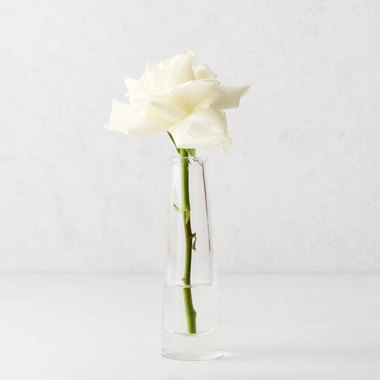 Solifleur small clear mouth-blown glass bud vase with a single white rose.