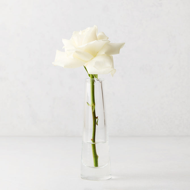 Solifleur small clear mouth-blown glass bud vase with a single white rose.