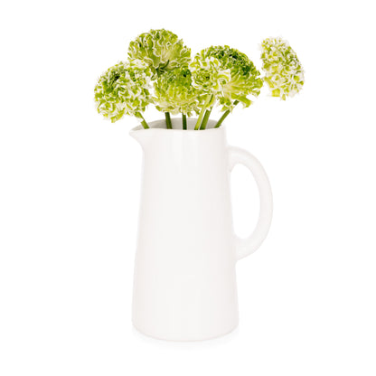 White ceramic Stinson pitcher with a large handle and spout, holding green and white ranunculus flowers.
