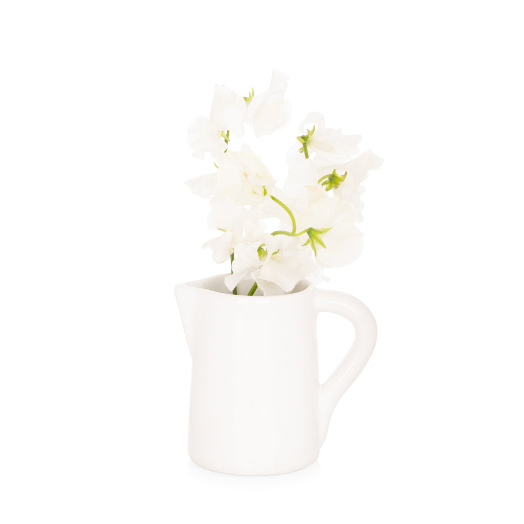 Small white ceramic pitcher with handle and spout, holding white sweet pea flowers.