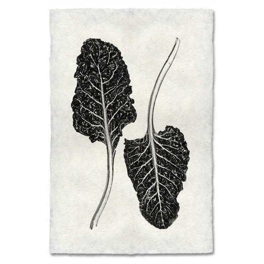 Black and white Swiss Chard botanical print on textured, handmade paper with a worn, antique look.