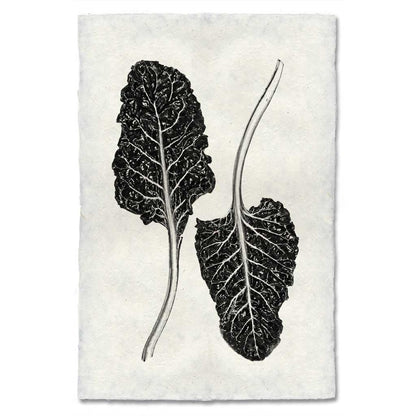 Black and white Swiss Chard botanical print on textured, handmade paper with a worn, antique look.