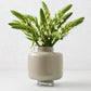 Taupe Lampion Glass Vase