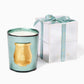 Trudon Fir Great Scented Candle Holiday Edition