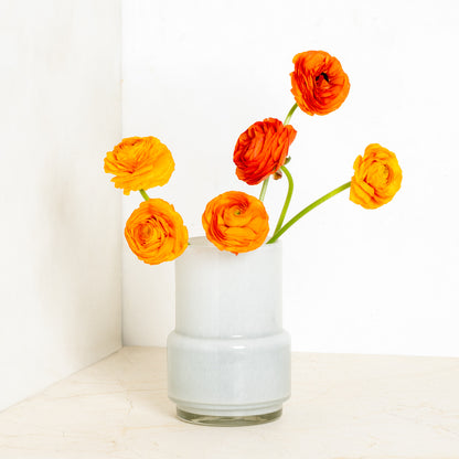 White Maartje Vase, 8.7"H handblown glass, holding vibrant orange ranunculus flowers.