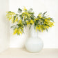 White oversized Grando glass vase with a round base and narrow neck, holding yellow mimosa flowers.
