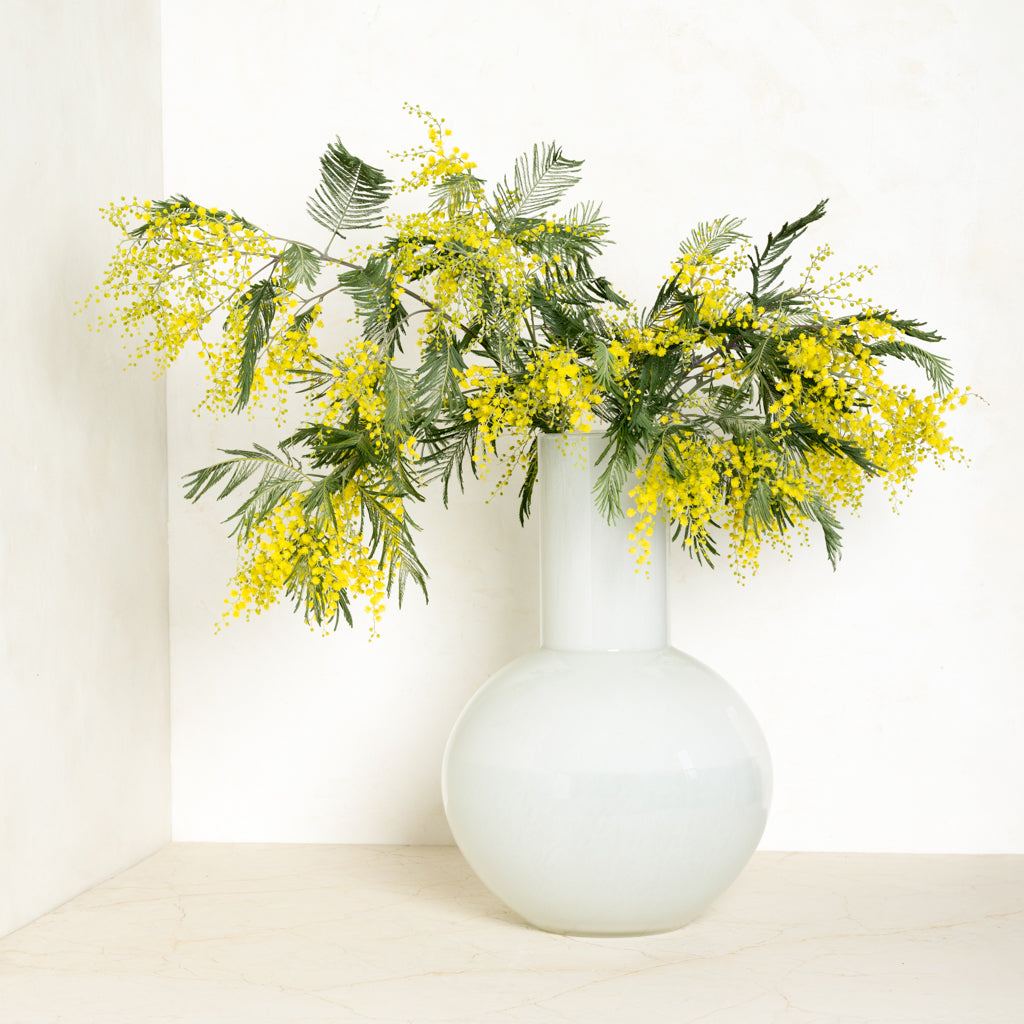 White oversized Grando glass vase with a round base and narrow neck, holding yellow mimosa flowers.