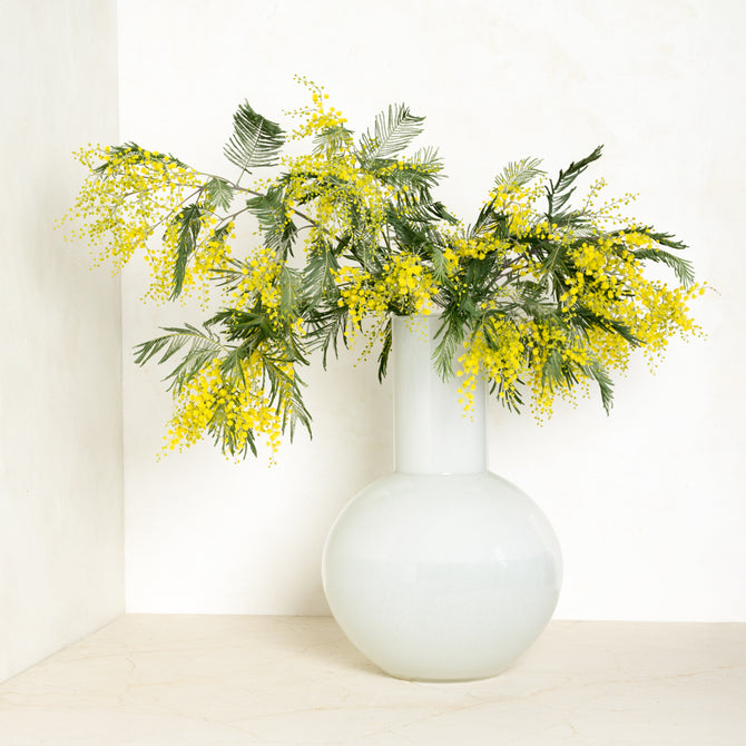 White oversized Grando glass vase with a round base and narrow neck, holding yellow mimosa flowers.