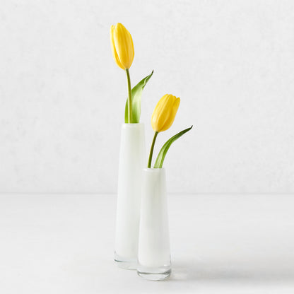 Two white Solifleur glass bud vases, one large and one small, each holding a yellow tulip.