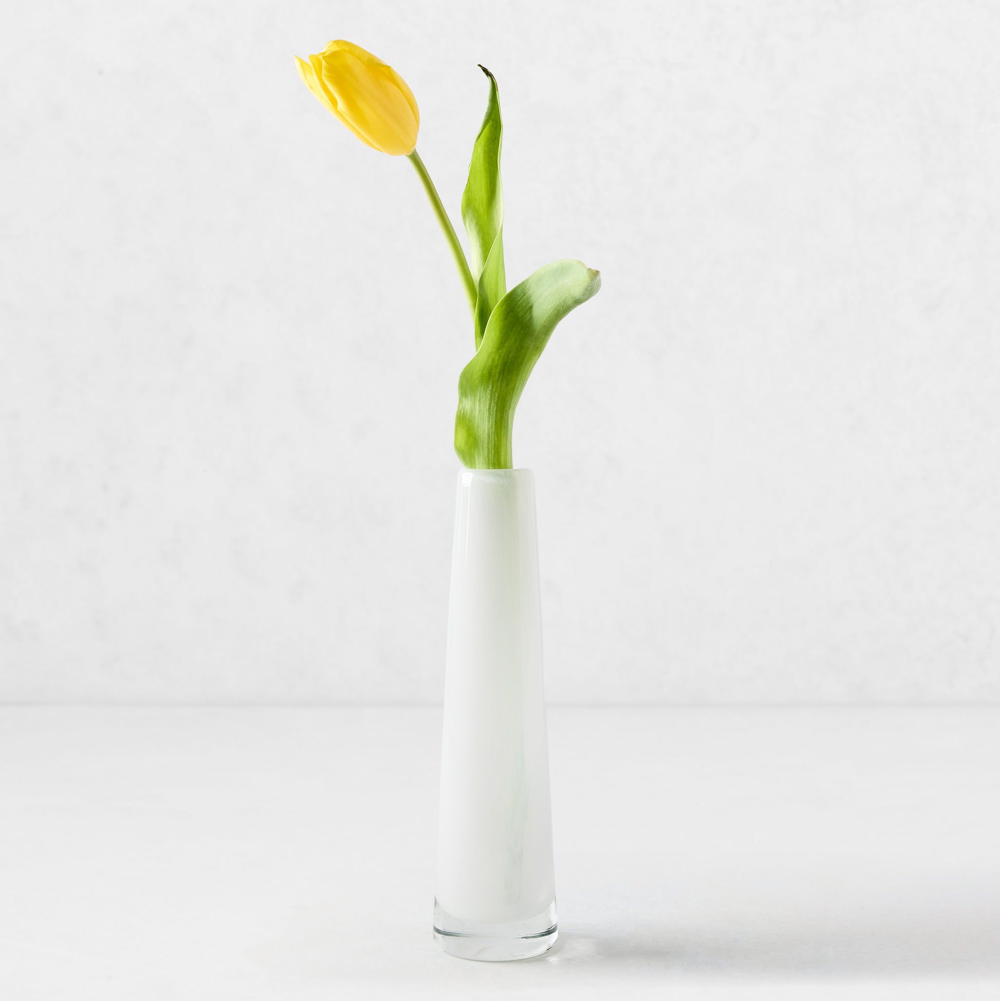 White Solifleur Large Glass Bud Vase, 8.27"H, with a single yellow tulip.