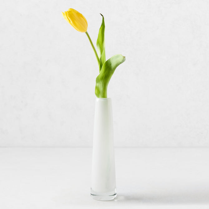 White Solifleur Large Glass Bud Vase, 8.27"H, with a single yellow tulip.
