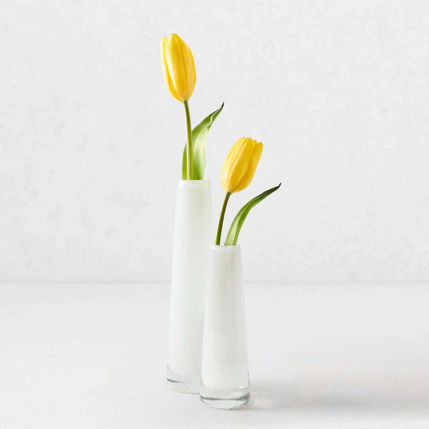 Two white Solifleur small glass bud vases, one 5.91"H, holding single yellow tulips.