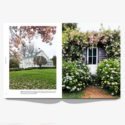 "Walk with Me: Hamptons" Book