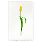 Yellow tulip art print on textured English watercolor paper with deckled edges.