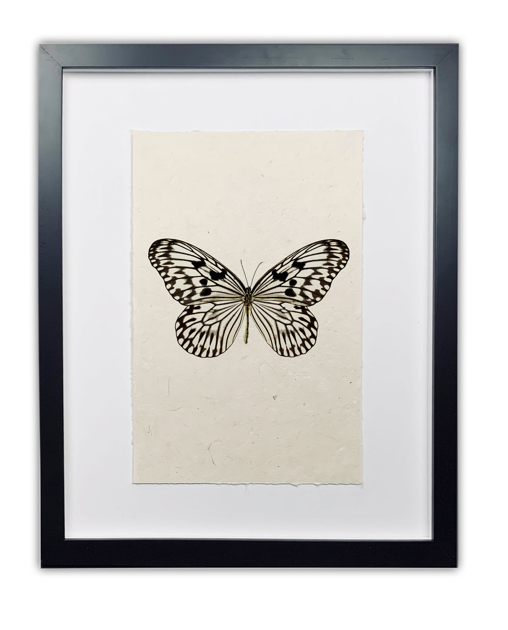 Butterfly framed handmade paper wall art print 40"x60"