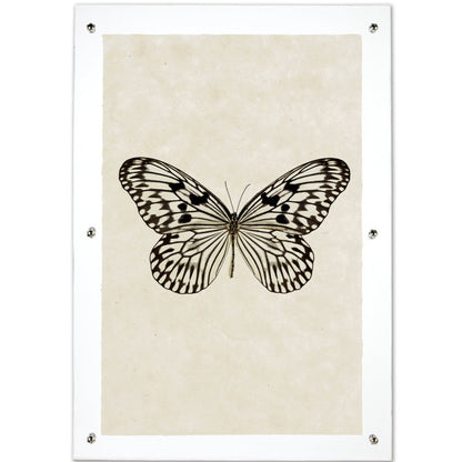 Butterfly framed handmade paper wall art print 20"x30"