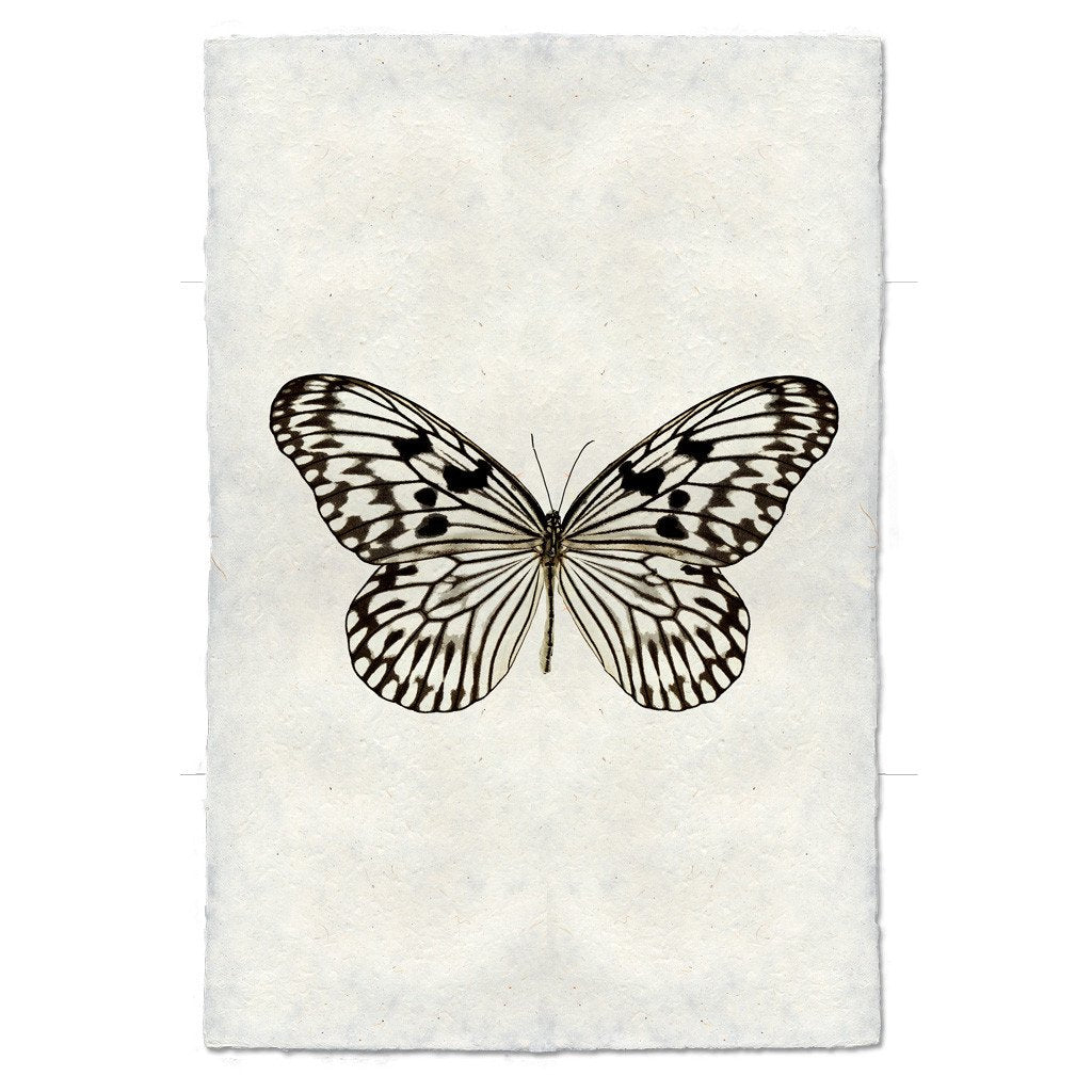 Butterfly handmade paper wall art print 9"x14"
