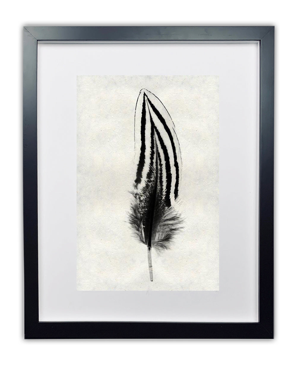 Feather Study #2 Handmade Paper Art Print