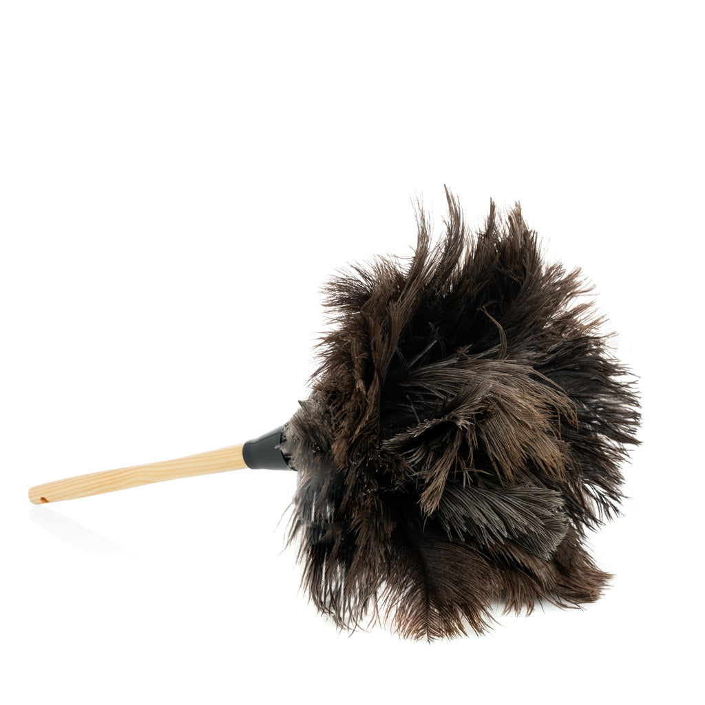 Ostrich Feather duster