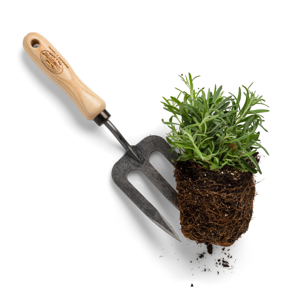 gardening thyme wooden handle fork gift