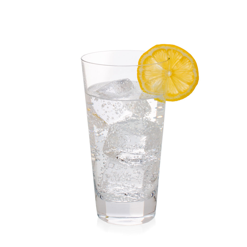 Hudson Grace crystal Tall Drink Glass with lemon slice