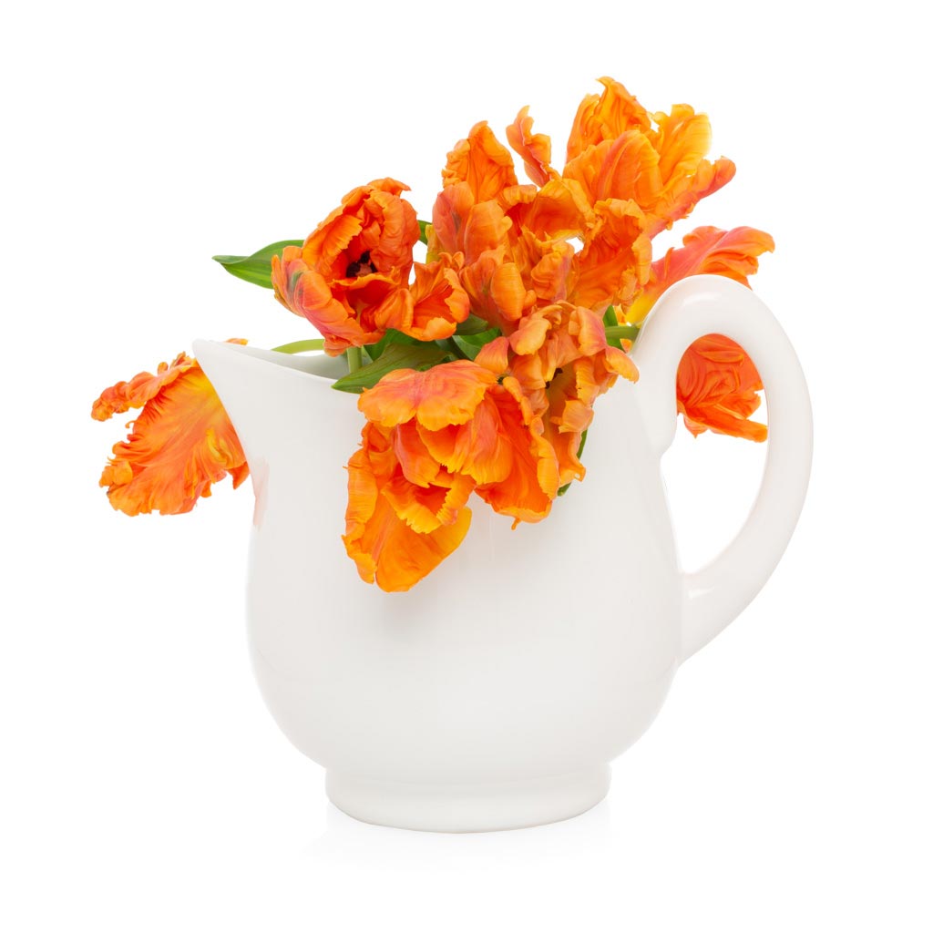 Original Lemonade Ceramic Pitcher Hudson Grace