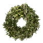 green olive leaf wreath natural live plant
