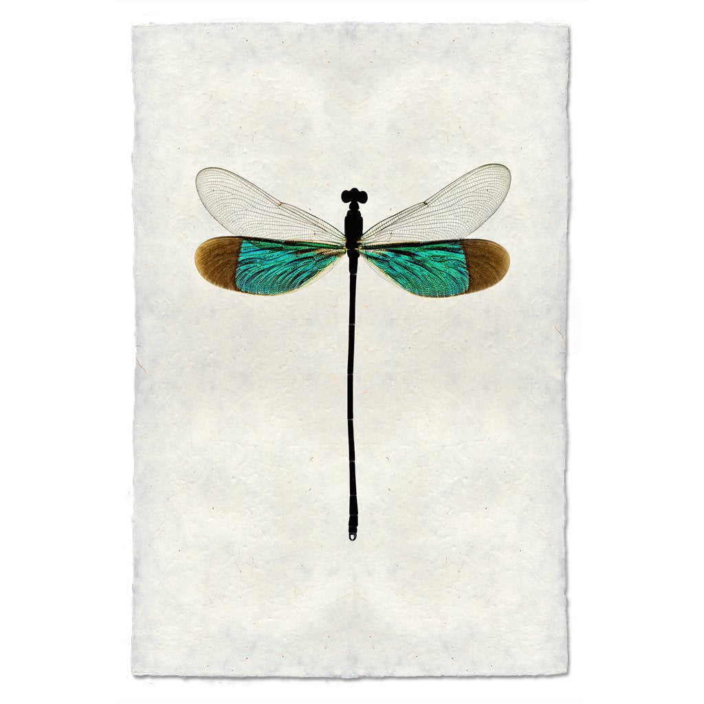 Turquoise Damsel Dragonfly handmade paper wall art print 40"x60"