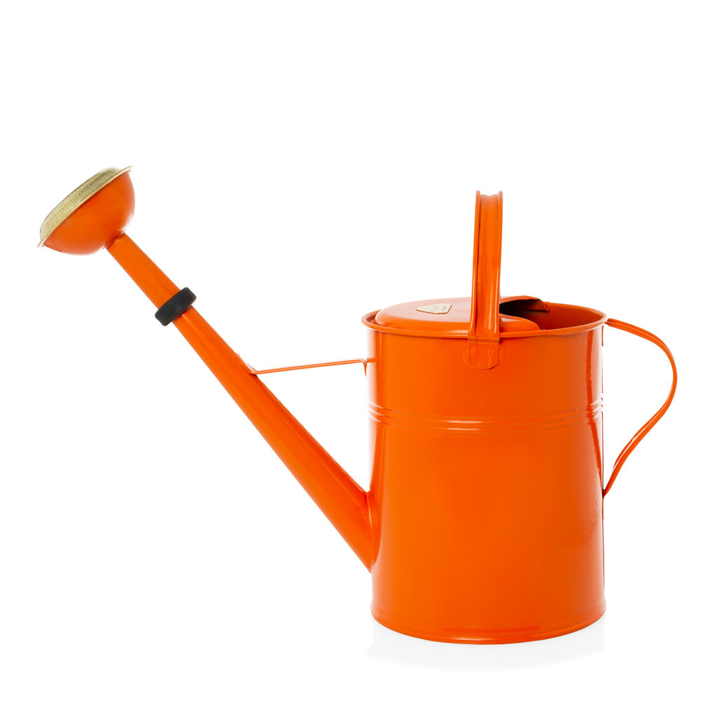orange metal watering can with gold strainer
