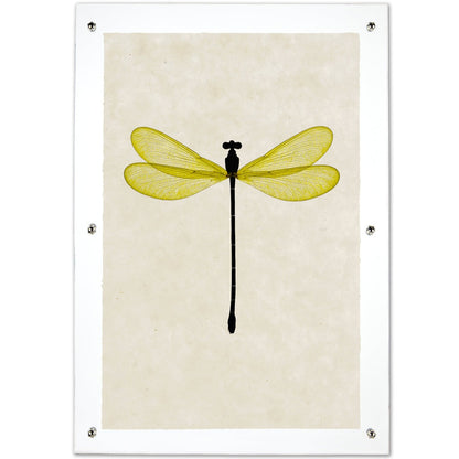 Yellow Damsel Dragonfly framed handmade paper wall art print 20"x30"