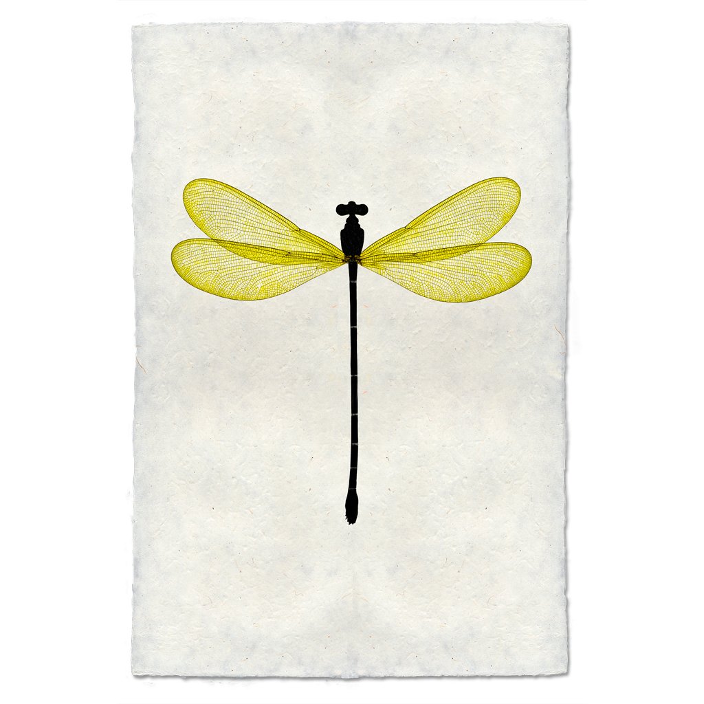 Yellow Damsel Dragonfly handmade paper wall art print 40"x60"