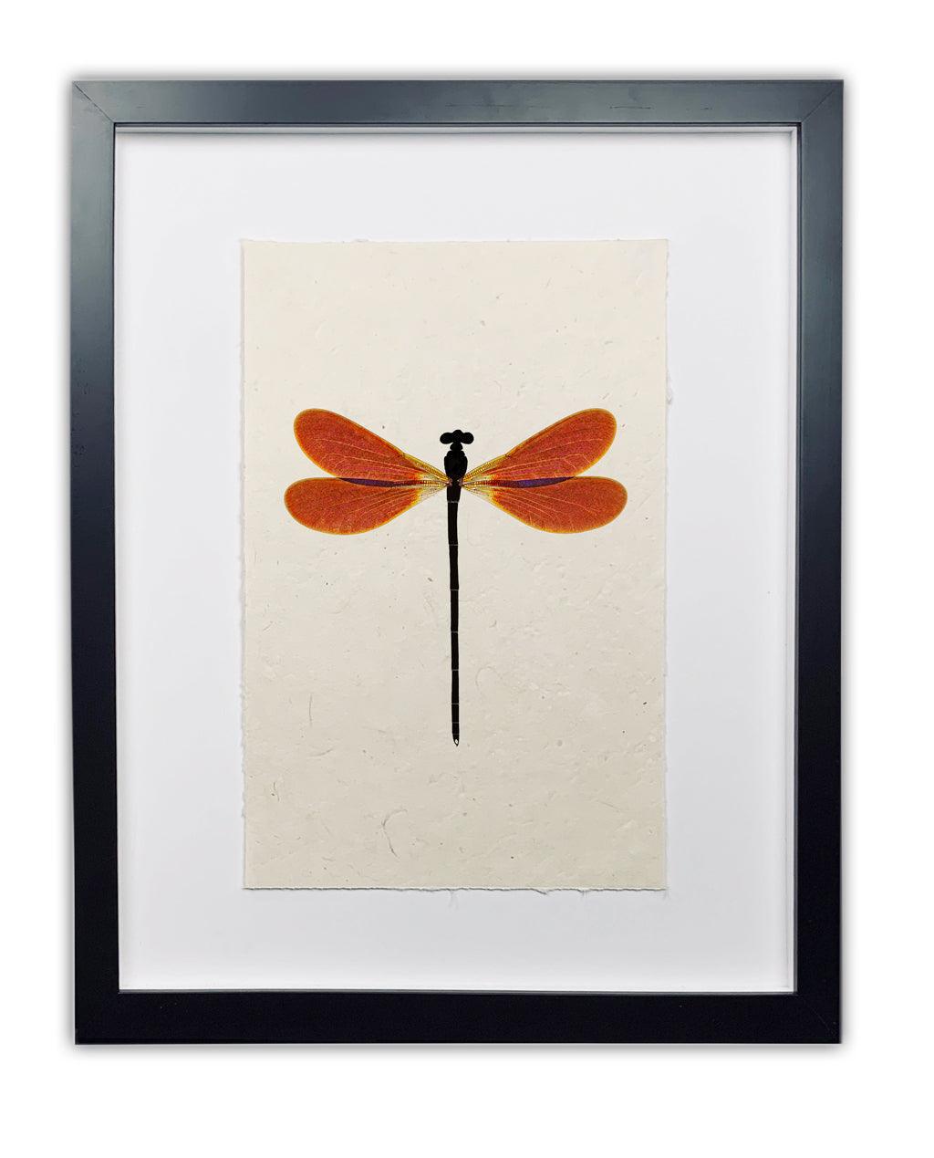 Amber Damsel Dragonfly Handmade Paper Wall Art Print - Hudson Grace