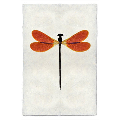 Amber Damsel Dragonfly print on textured handmade paper, featuring orange wings and a black body.