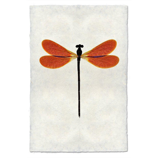 Amber Damsel Dragonfly print on textured handmade paper, featuring orange wings and a black body.