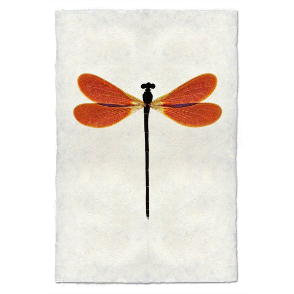 amber-damsel-dragonfly-wall-