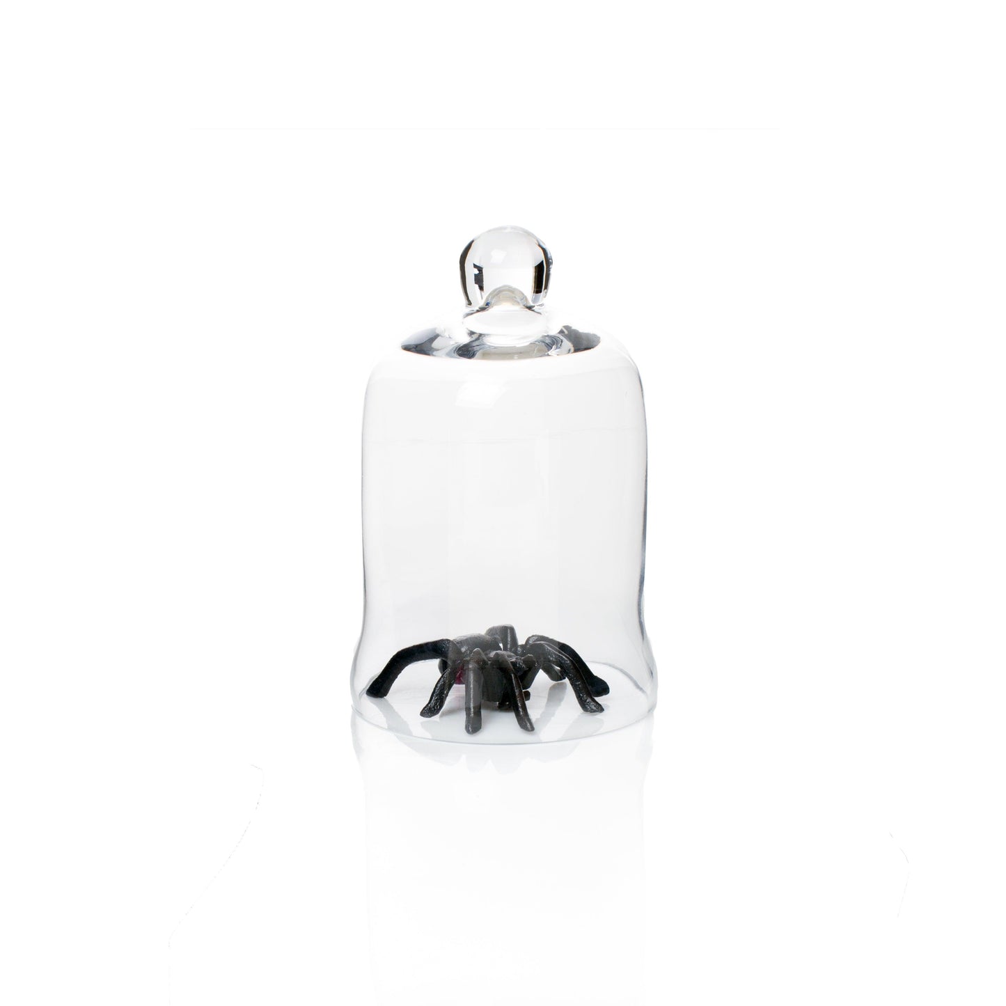 Black cast iron decorative spider under a clear glass cloche.